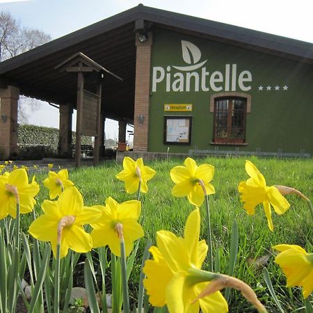 Camping Piantelle Moniga del Garda Zewnętrze zdjęcie