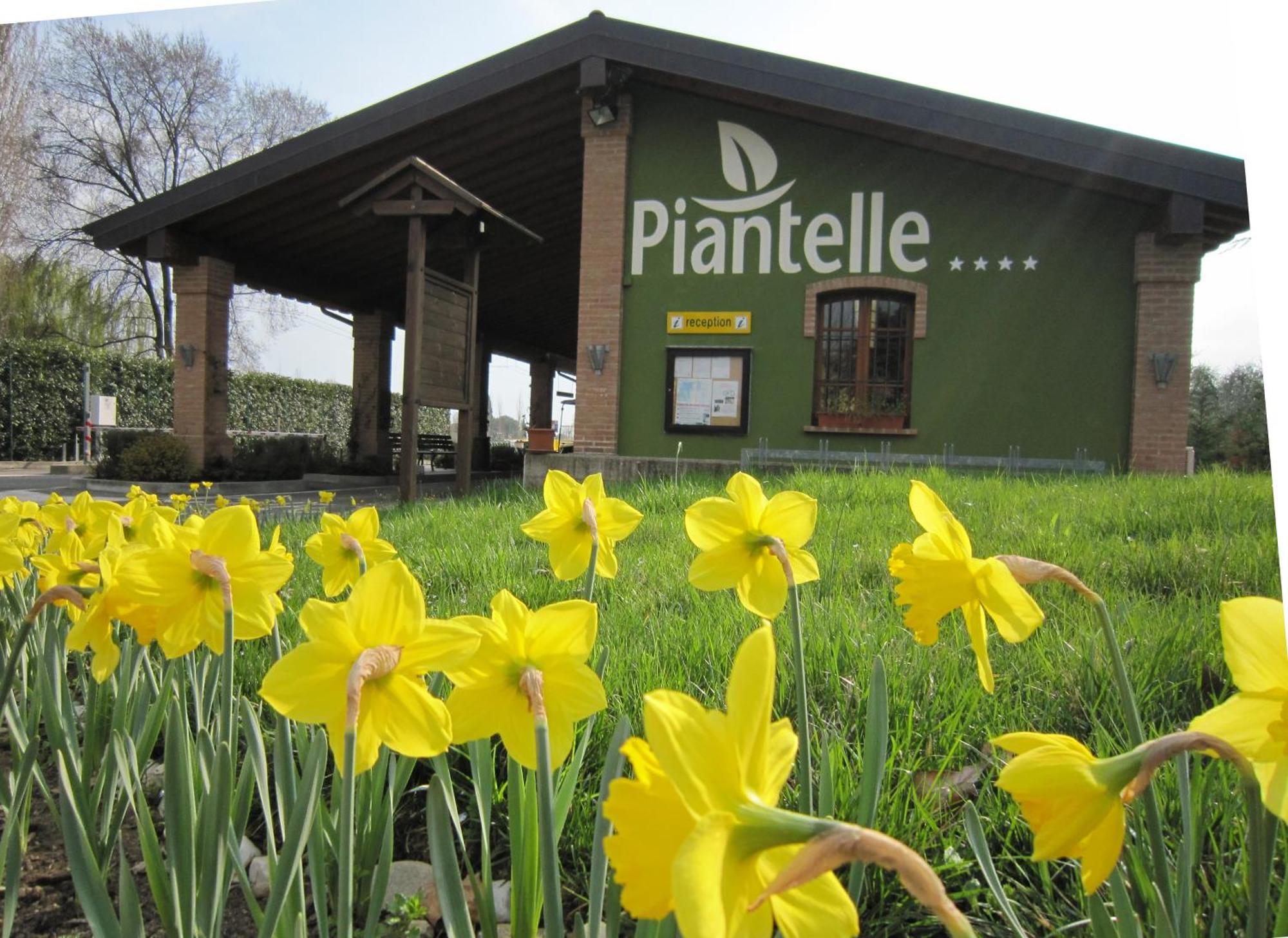 Camping Piantelle Moniga del Garda Zewnętrze zdjęcie